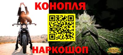 Альфа ПВП Обнинск