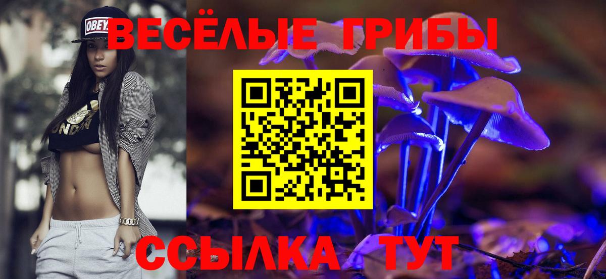 Галлюциногенные грибы ЛСД Сосновый Бор