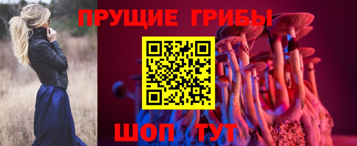 Псилоцибиновые грибы Cubensis  Псилоцибиновые грибы ЛСД  Вход с VPN  Сосновый Бор 