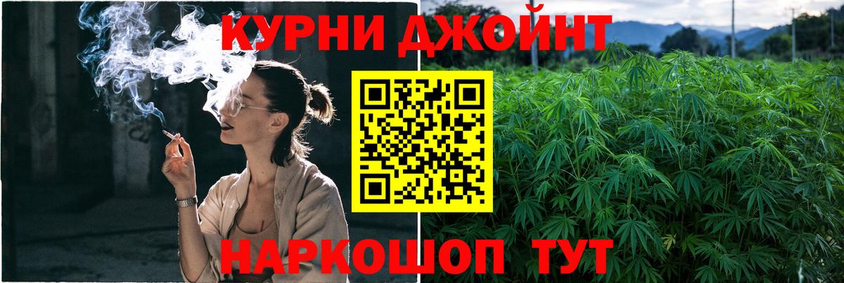 Бошки Шишки семена Сосновый Бор